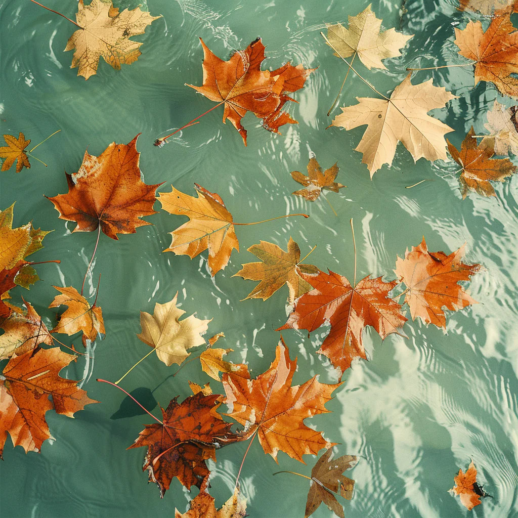 The Skincare Benefits of Maple Leaf Extract in Your Mask or Moisturizer